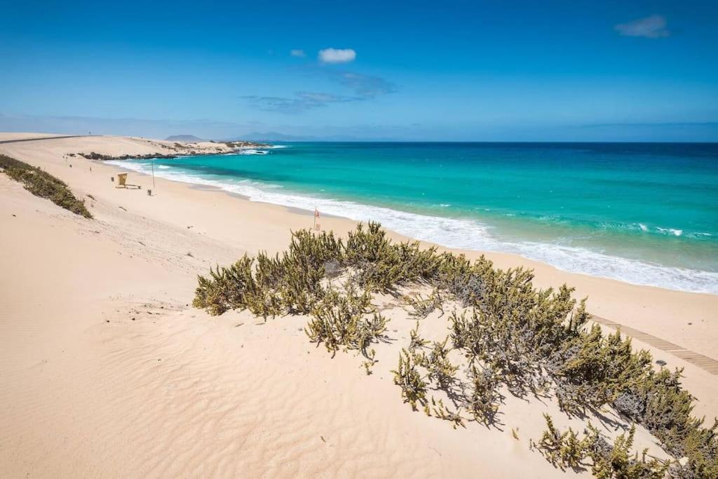 B-Rent Alisios Playa Isla Bonita Apartment Corralejo Exterior photo
